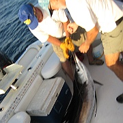 Picture 016